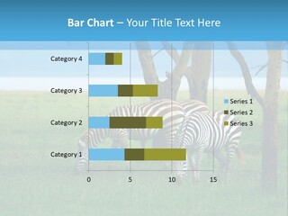 Sand Parent Coastal PowerPoint Template