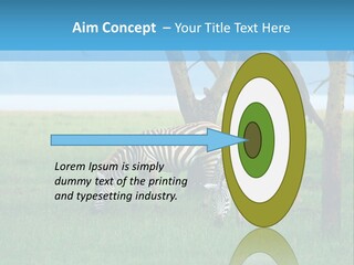 Sand Parent Coastal PowerPoint Template