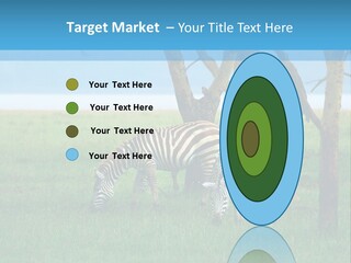 Sand Parent Coastal PowerPoint Template