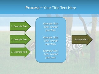 Sand Parent Coastal PowerPoint Template