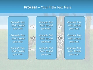 Sand Parent Coastal PowerPoint Template