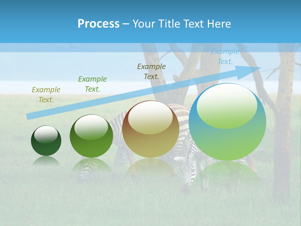 Sand Parent Coastal PowerPoint Template