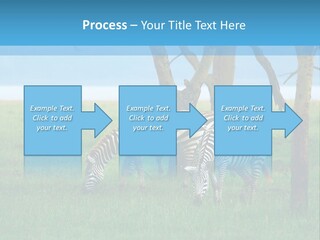 Sand Parent Coastal PowerPoint Template