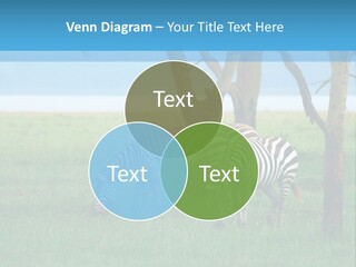 Sand Parent Coastal PowerPoint Template