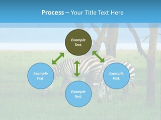 Sand Parent Coastal PowerPoint Template