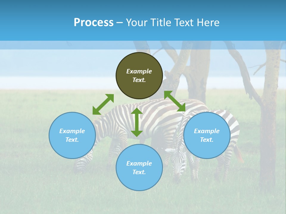 Sand Parent Coastal PowerPoint Template