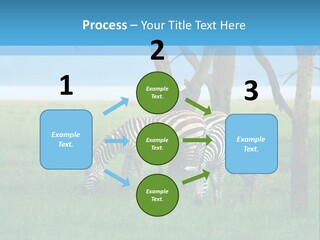 Sand Parent Coastal PowerPoint Template