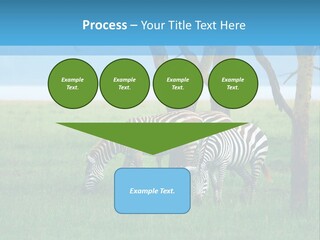 Sand Parent Coastal PowerPoint Template
