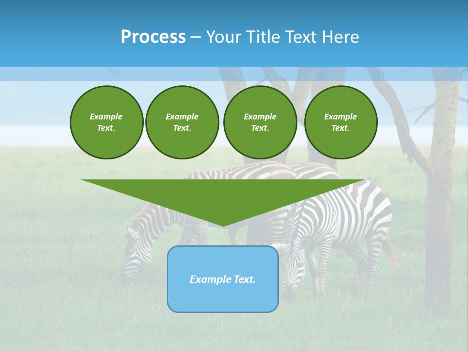 Sand Parent Coastal PowerPoint Template