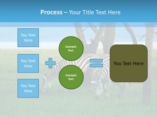 Sand Parent Coastal PowerPoint Template