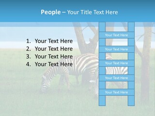 Sand Parent Coastal PowerPoint Template