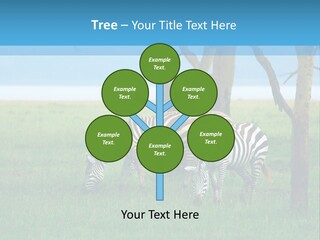 Sand Parent Coastal PowerPoint Template