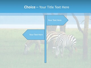 Sand Parent Coastal PowerPoint Template