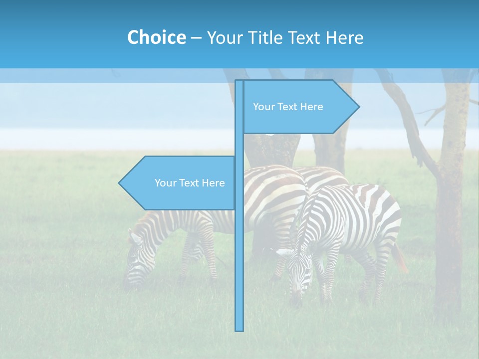 Sand Parent Coastal PowerPoint Template
