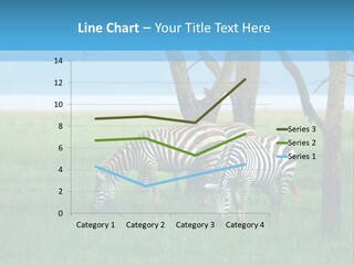 Sand Parent Coastal PowerPoint Template