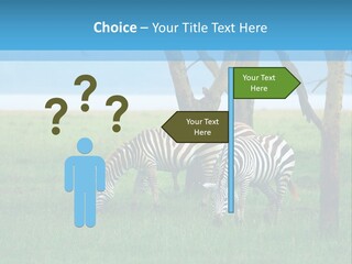 Sand Parent Coastal PowerPoint Template