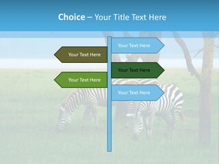 Sand Parent Coastal PowerPoint Template