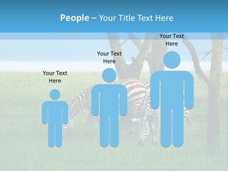 Sand Parent Coastal PowerPoint Template