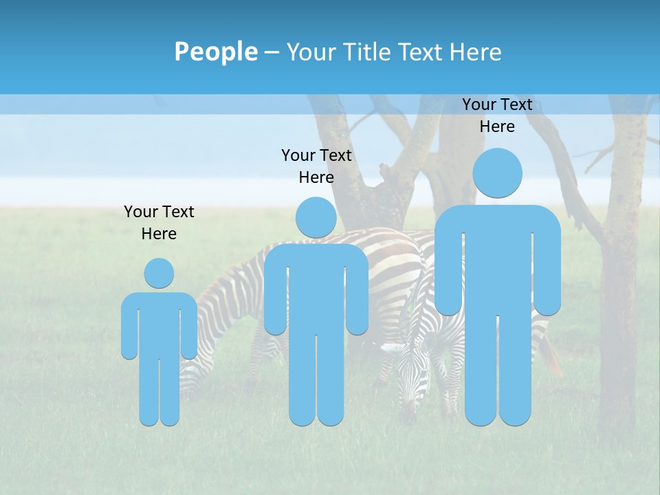 Sand Parent Coastal PowerPoint Template