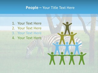 Sand Parent Coastal PowerPoint Template