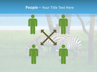 Sand Parent Coastal PowerPoint Template