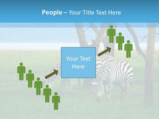 Sand Parent Coastal PowerPoint Template