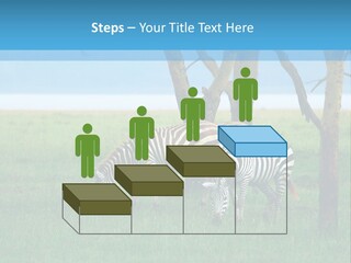 Sand Parent Coastal PowerPoint Template
