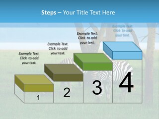 Sand Parent Coastal PowerPoint Template