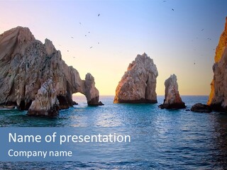 Travel Sea Birds PowerPoint Template