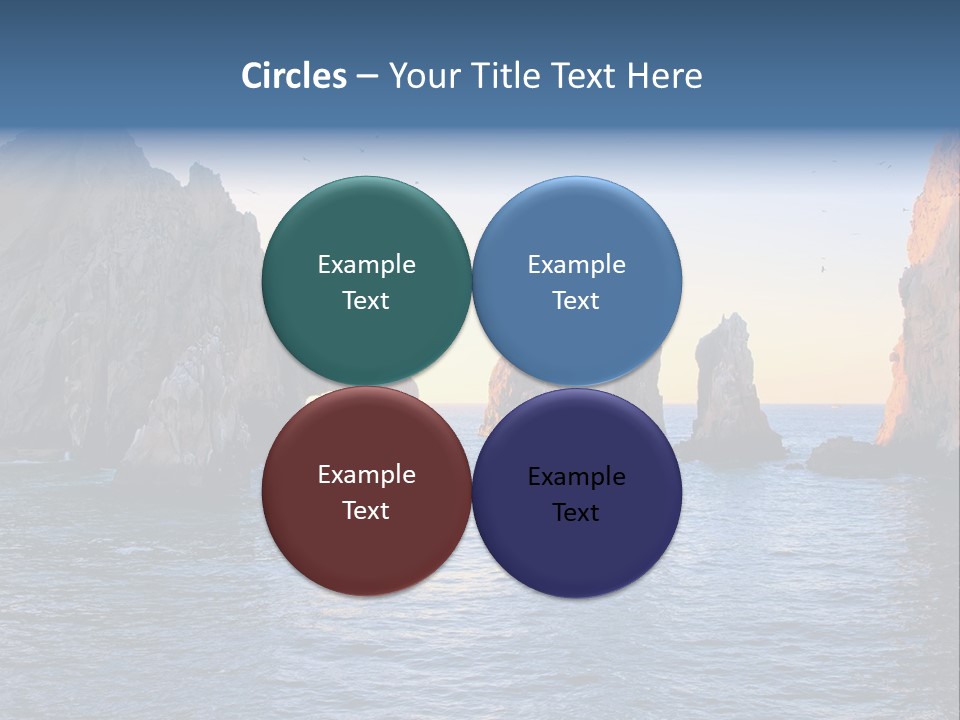 Travel Sea Birds PowerPoint Template