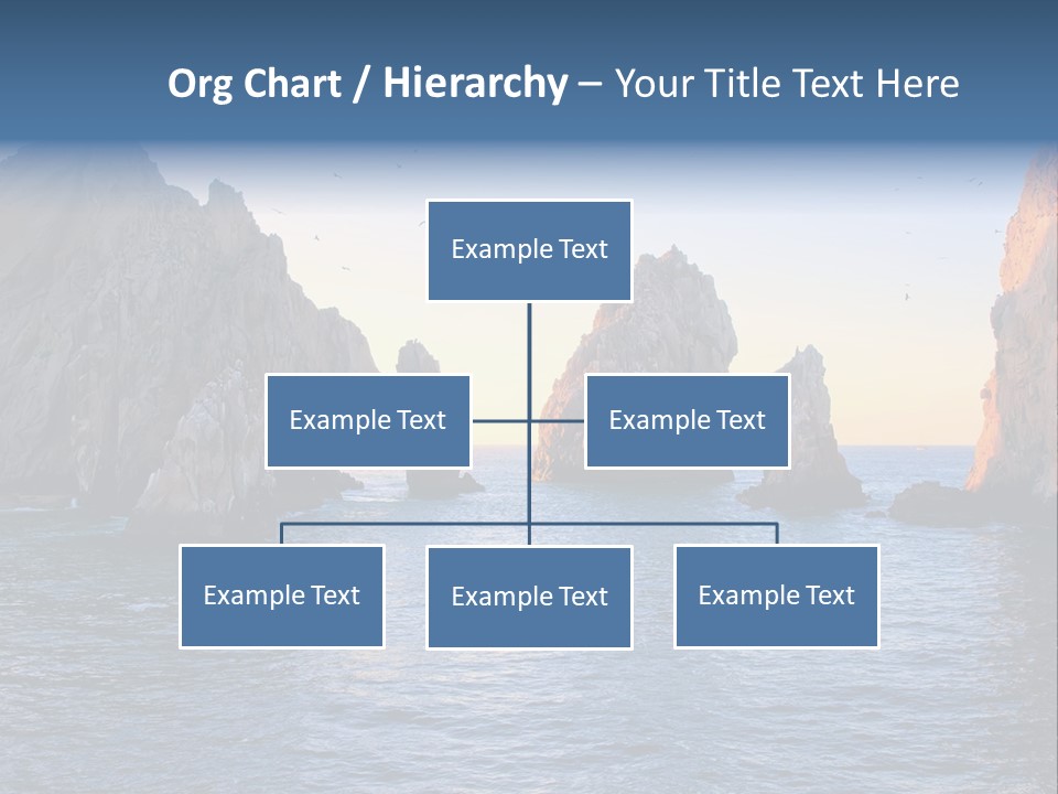 Travel Sea Birds PowerPoint Template
