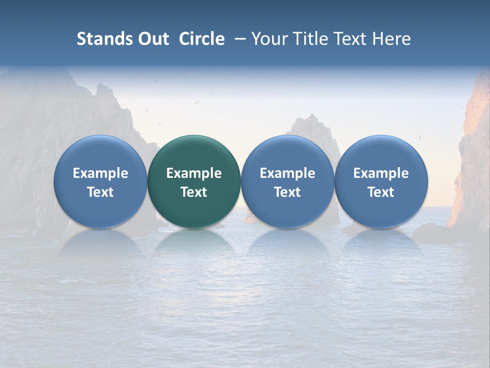 Travel Sea Birds PowerPoint Template