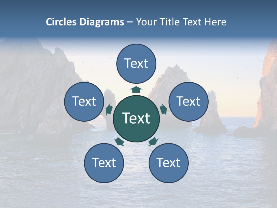 Travel Sea Birds PowerPoint Template