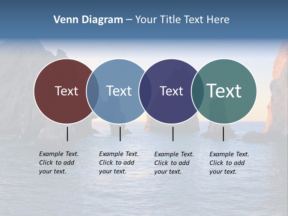 Travel Sea Birds PowerPoint Template