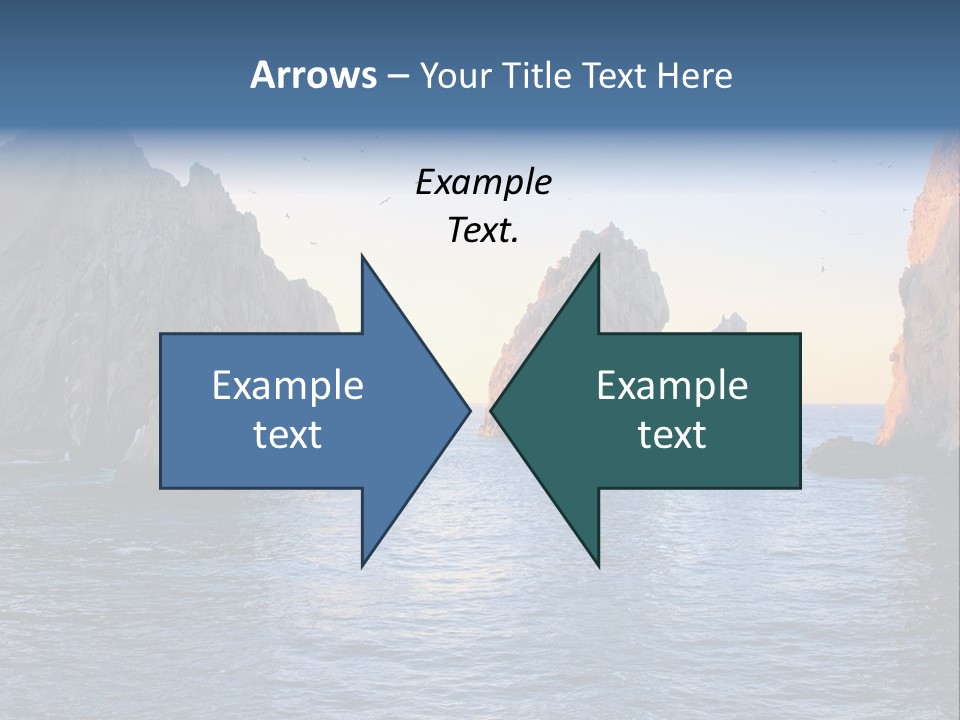 Travel Sea Birds PowerPoint Template