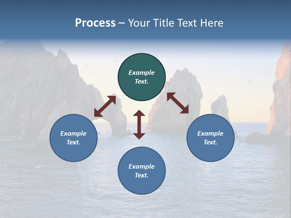 Travel Sea Birds PowerPoint Template