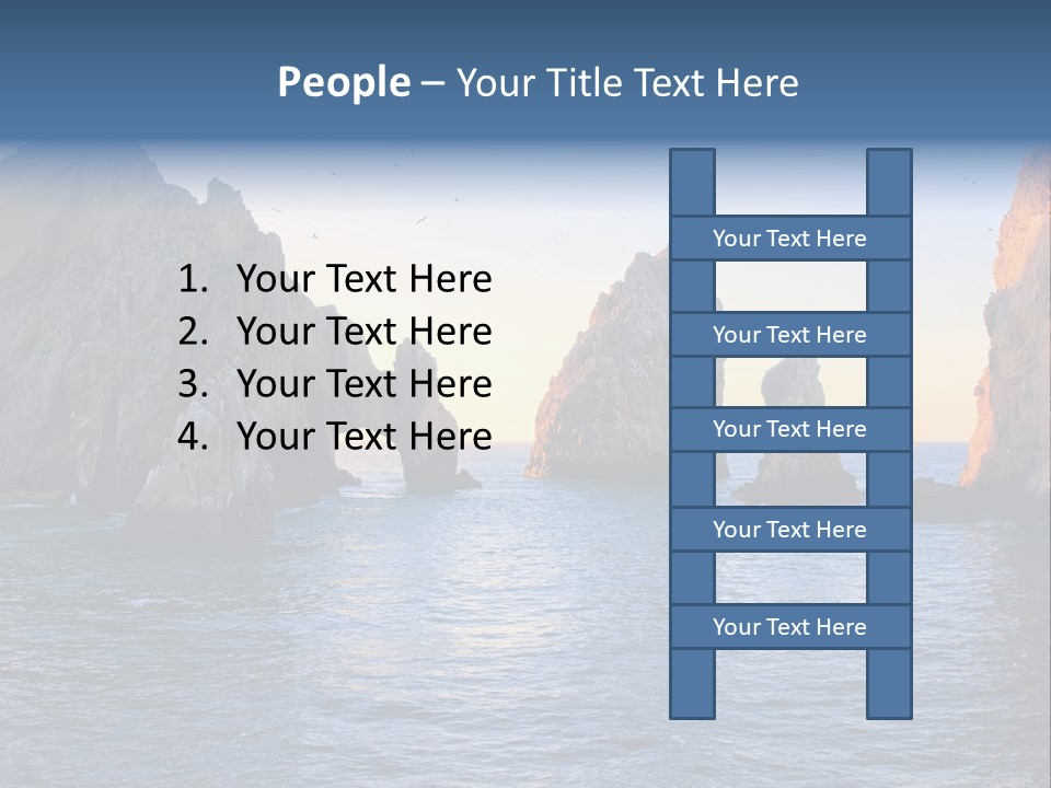 Travel Sea Birds PowerPoint Template