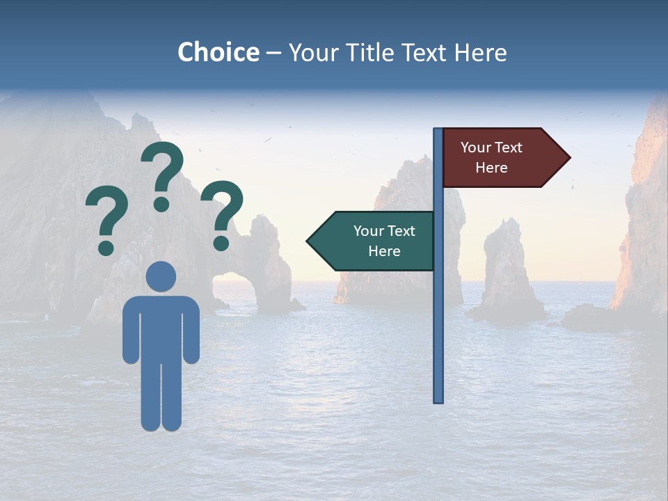 Travel Sea Birds PowerPoint Template