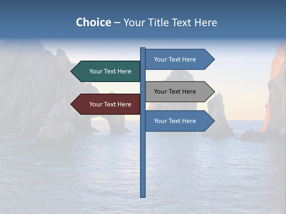 Travel Sea Birds PowerPoint Template