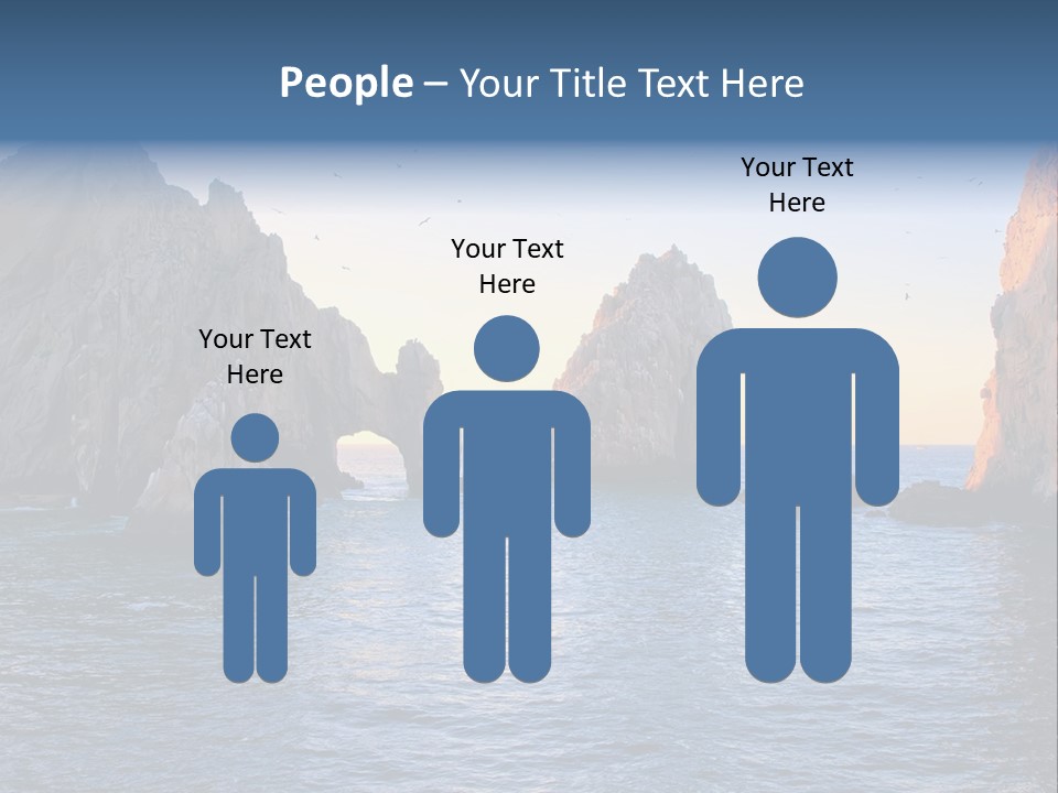 Travel Sea Birds PowerPoint Template