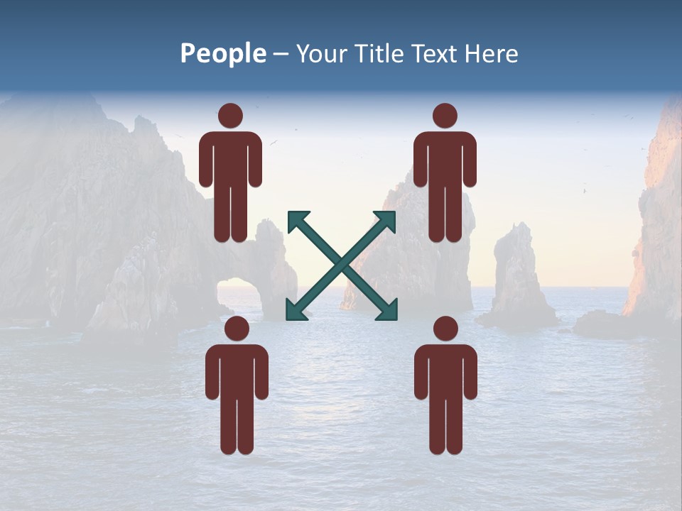 Travel Sea Birds PowerPoint Template