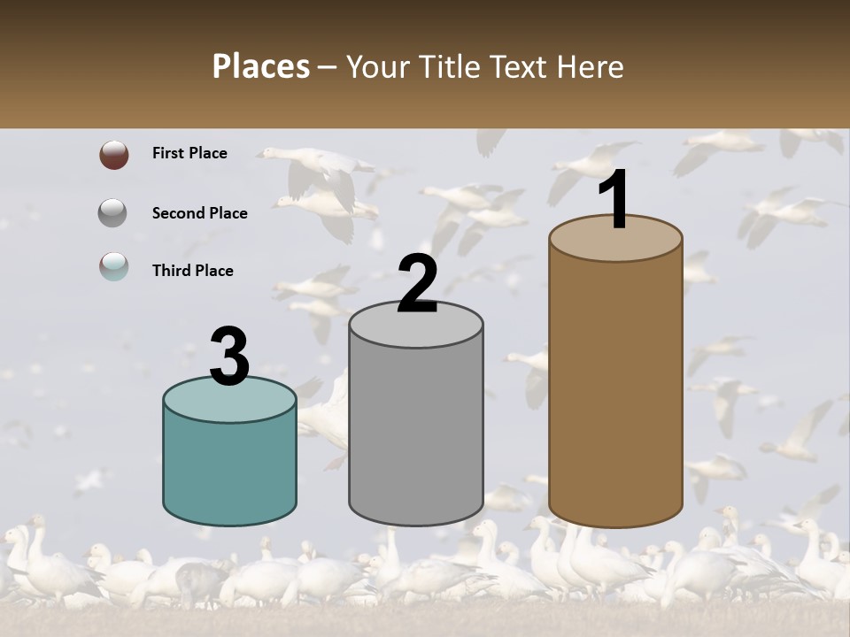 Spring Hunt Flock PowerPoint Template