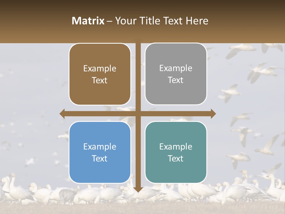 Spring Hunt Flock PowerPoint Template