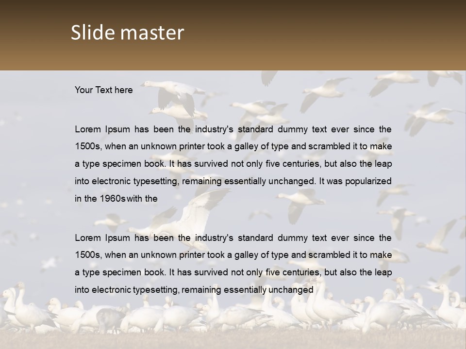Spring Hunt Flock PowerPoint Template