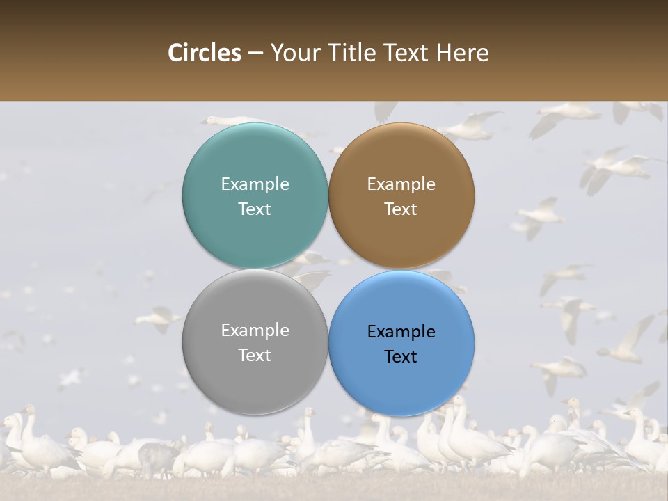 Spring Hunt Flock PowerPoint Template