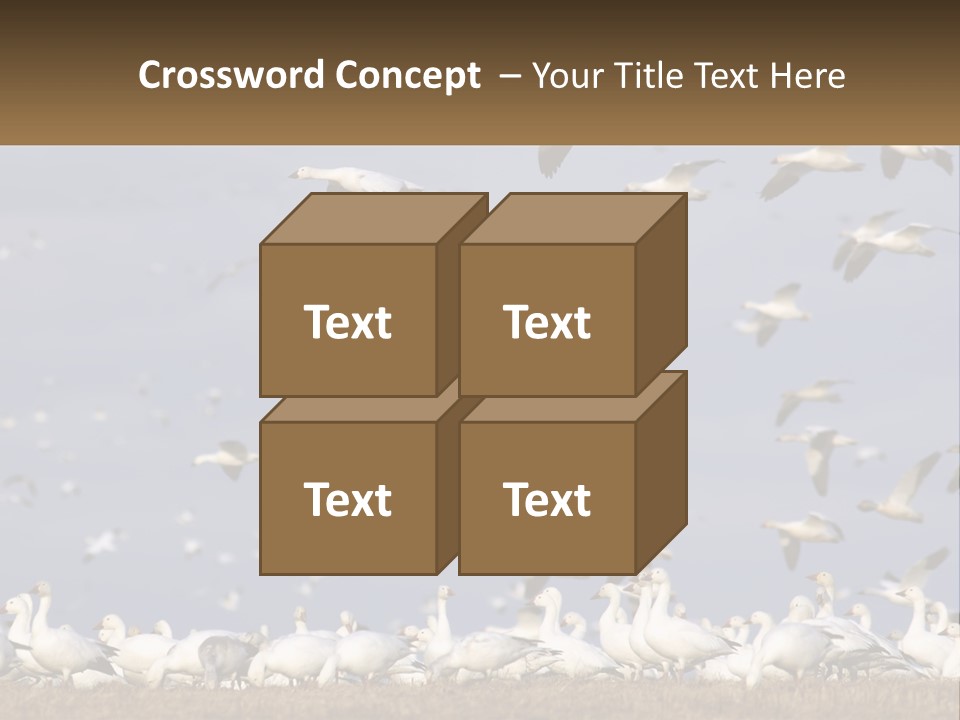 Spring Hunt Flock PowerPoint Template