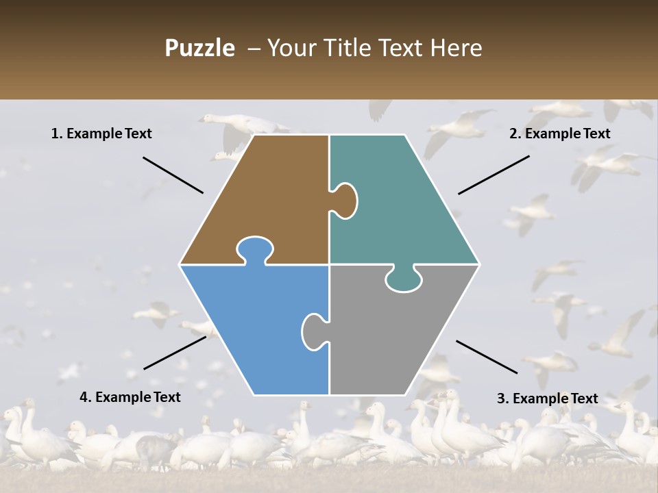 Spring Hunt Flock PowerPoint Template