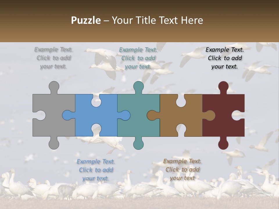 Spring Hunt Flock PowerPoint Template