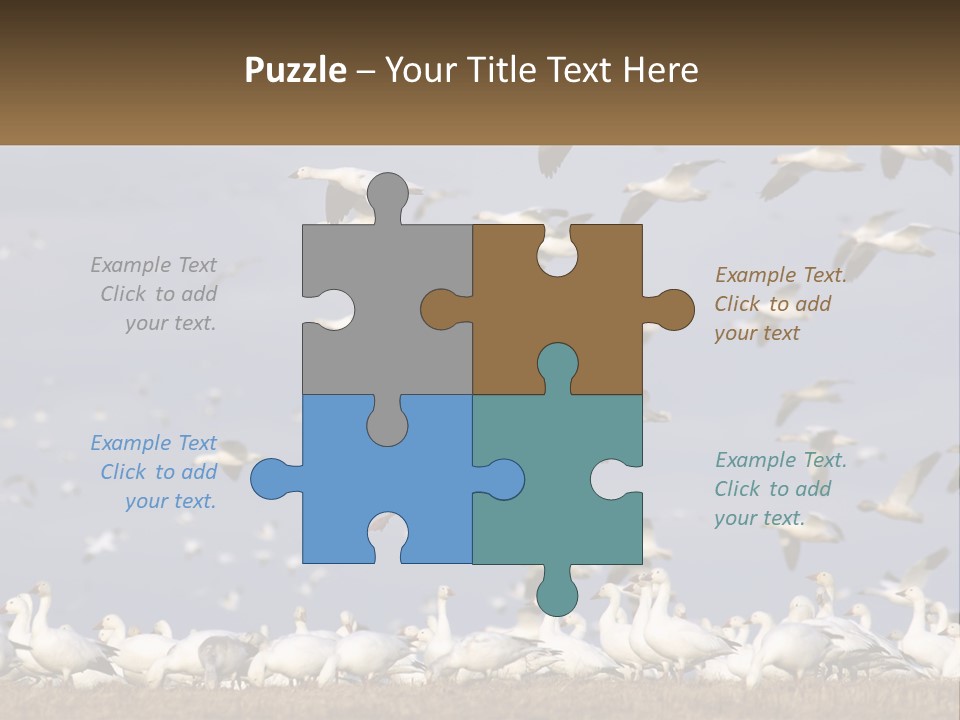 Spring Hunt Flock PowerPoint Template