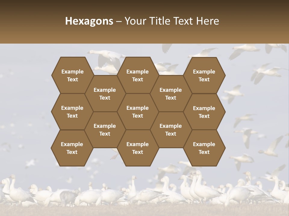 Spring Hunt Flock PowerPoint Template